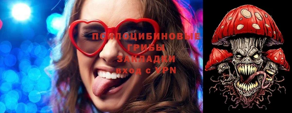 МДПВ Алексеевка